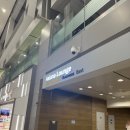 네오상사 | 비즈니스 라운지 (동편) 후기 | OZ178 인천 → 하네다 A321 네오 이코노미 탑승기 (기내식, 좌석 등)