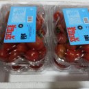 투마토