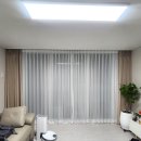 금산느티나무 이미지