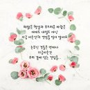 다님 이미지