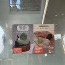 카페브런치(서원) | 카페) 청주 아기랑 서원구 위드포레스트 기저귀갈이대 유아의자 애견 솔직후기 내돈내산