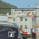 대전 근교 벚꽃길 드라이브! 충북 옥천 카페 마타리