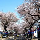 평화카포스 이미지