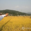 연합뉴스 "매원마을이 여깁니다" 포토뉴스 전문 이미지