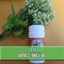 비맥스 메타비 영양제, 피곤한 현대인을 위한 필수템!