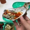 통영굴찜 네이버블로그