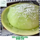 망우본동 공영주차장 | 중랑구 애견카페 다시사랑받개 가격 및 후기 추천 리뷰 주차 예약 알아봐요