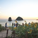 파인웰스 이미지