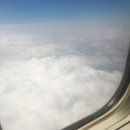 제주농산(주)발전소 | 제주 유채꽃 개화시기 사진 명소 다녀오기