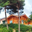 꽃지통나무펜션 이미지