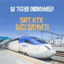 다가오는 설, 기차표 예매하세요! SRT, KTX 일정 알아보기 이미지