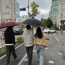 도은상사 - 강서구 | 도은상사