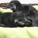 아쿠아플라넷 여수 이미지