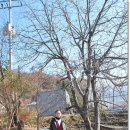 호두나무집 이미지