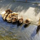 방대농장 이미지