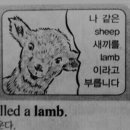 아워페이브