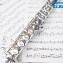 초등 플루트 이미지