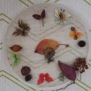 주중초교 병설유치원 이미지