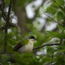 고잔근린공원 이미지