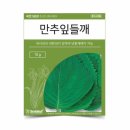 씨앗