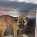 세월천로 이미지