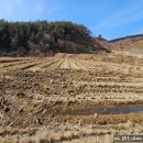 노동면사무소 이미지