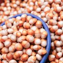 산약초 생활건강 이미지