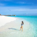 동화 속 바다여행 이미지