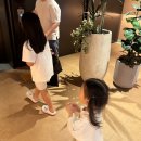 파티친구 | 부산 기장 아난티 빌라쥬 드 맨션 풀하우스 수영장 친구 생일파티 장소 후기