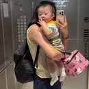 다미옛날통닭 | 7월 두 번째 엄마의 일상 | 8개월이 된 우리 아기