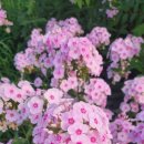 잠실공원 이미지