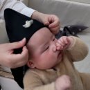 인형의 거리(뱀) | 아기 사진관, 메리베이비 백일 기념 촬영 후기