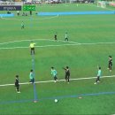 [2023 경기도 꿈나무 축구대회] 2023.11.11 4강전 성남FC U11 vs 안양AFA U11 이미지