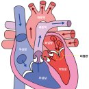 더원동물메디컬센터 이미지