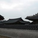 비원 Daum카페