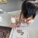 음악이 있는 명화이야기 | [책육아 돌전후 아기 전집 추천]베이비올 명화음악 전집 당근 후기