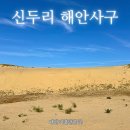 태안 가볼만한곳 - 신두리 해안사구 한국의 유일한 사막 풍경 주차 꿀팁 축제 정보