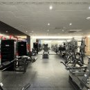 프로 짐 이미지