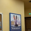 행복한해적 | 상하이 디즈니랜드 할인정보 어트랙션 추천 1탄｜트론, 캐리비안의해적, 주토피아