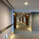 용학로 | 대구 수성 호텔 야간 수영장 후기 배달음식 추천