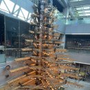 충북창의과학 | 청주 충북과학체험관 방문 후기(예약사이트, 예약방법, 입장료 무료, 방문팁)