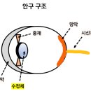 세상드림 이미지