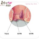 이외과 네이버블로그