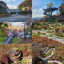 2025.11.9. 속리산 말티재 &amp; 보청천 단풍 투어 이미지