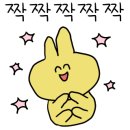 루루섬의 비밀 이미지