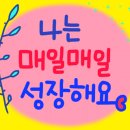 솔브인사이트