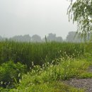 생태공원 이미지