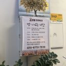 오선생도나스