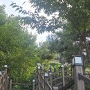 맘스터치 신메뉴 핫치즈 와우순살치킨 할인쿠폰까지 내돈내산