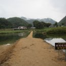 미다리본